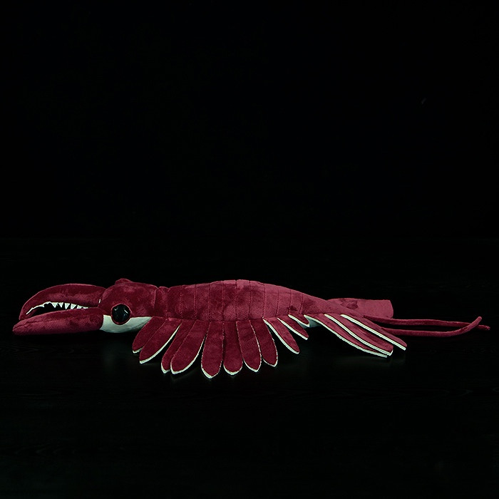 Anomalocaris Arthropod צעצוע קטיפה רך ממולא