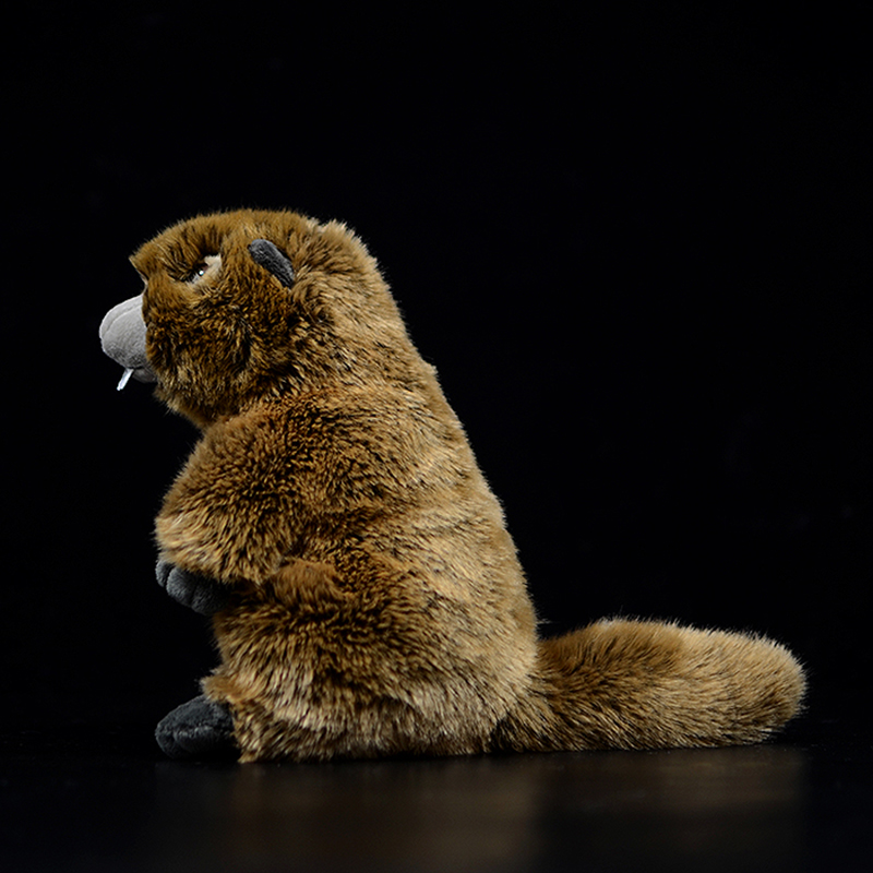 Marmota marmota de pelúcia de pelúcia macia