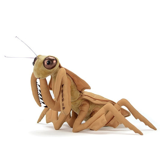 Atlas Beetle Měkká plyšová hračka