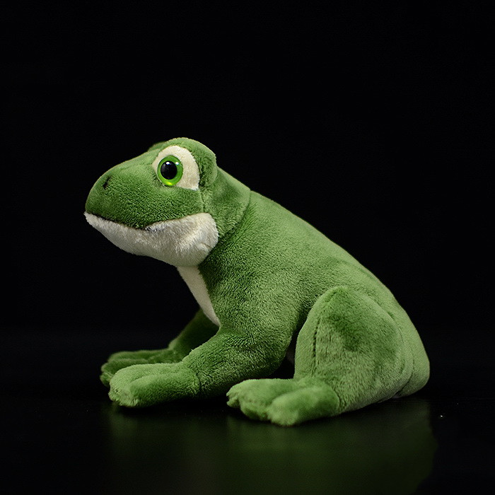 Green Tree Frog Soft Stuffed Plush Toy – Gage Beasley