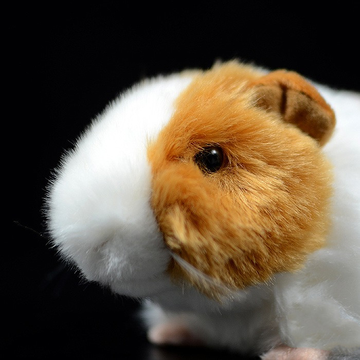 Guinea Pig Soft Stuffed Plush Toy – Gage Beasley