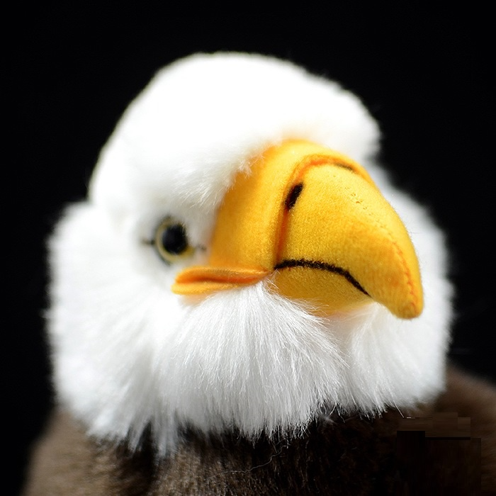 Stuffed bald shop eagle for sale