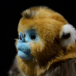 Goldener Stupsnasen-Affe, weiches Plüschtier