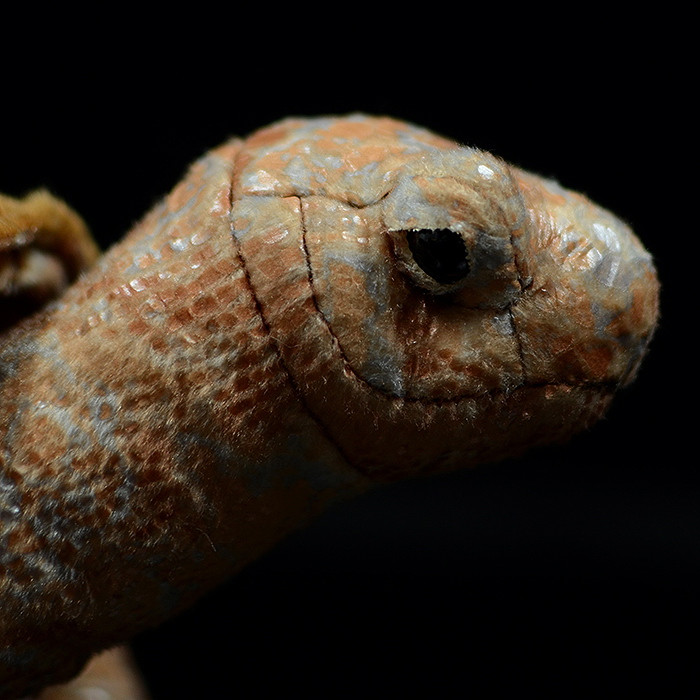 Galapágská želva Měkká plyšová hračka