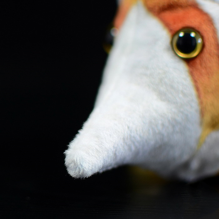 Copperband Butterfly Fish צעצוע קטיפה ממולא רך