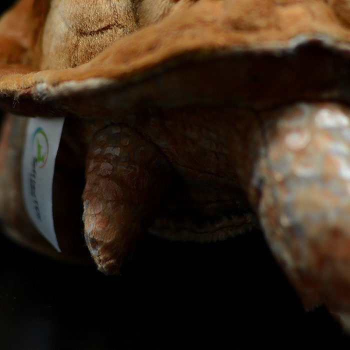 Giocattolo di peluche ripieno morbido tartaruga delle Galapagos