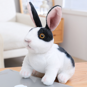 Bunny Rabbits Soft Stuffed Plush Toy