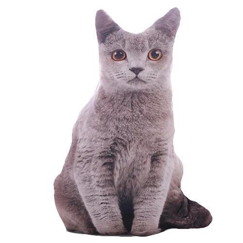 Jucărie cu pernă de pluș moale pentru pisici