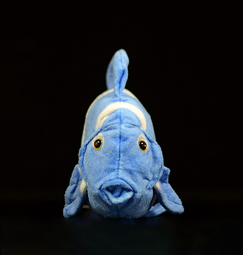 Brinquedo de pelúcia macio de pelúcia de peixe Atlantic Blue Tang