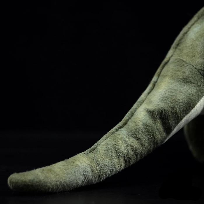 Zelený Tyrannosaurus T-Rex Dinosaurus Měkká plyšová hračka