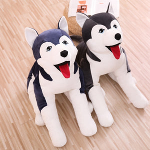 Husky Dog Soft Stuffed Plush Toy