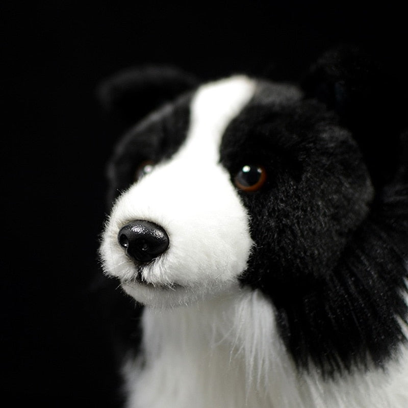 כלב בורדר קולי צעצוע קטיפה ממולא רך