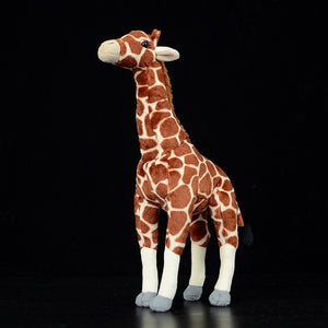 African Giraffe Soft Stuffed Plush Toy
