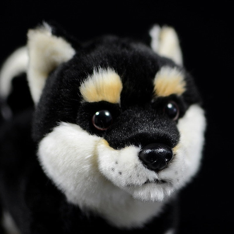 Jucărie umplută pentru cățeluș Shiba Inu negru japonez