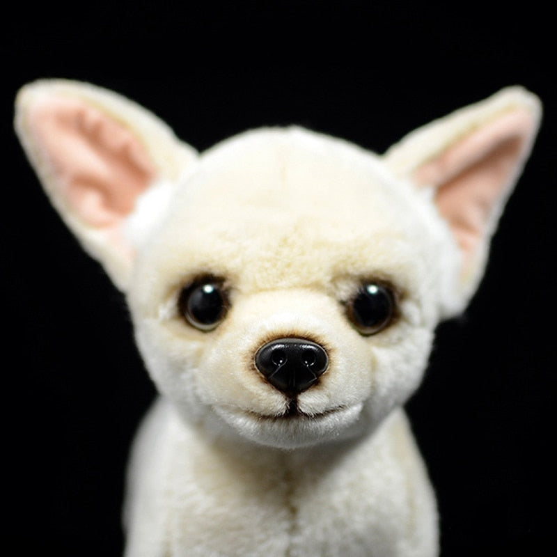 Chihuahua hund mjuk plysch leksak
