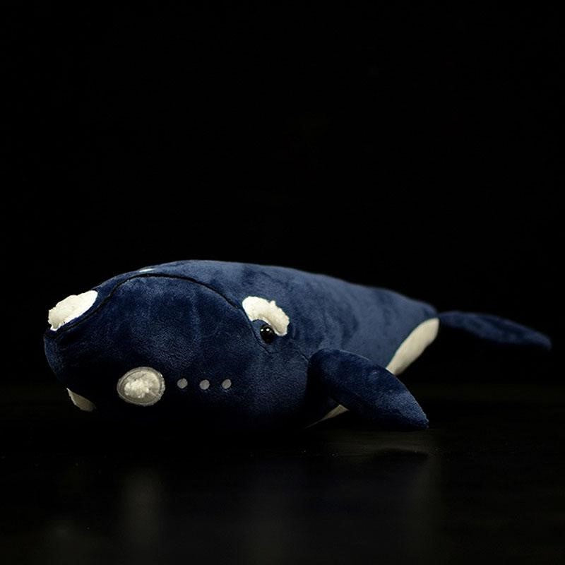 Right Whale Soft Stuffed Plush Toy