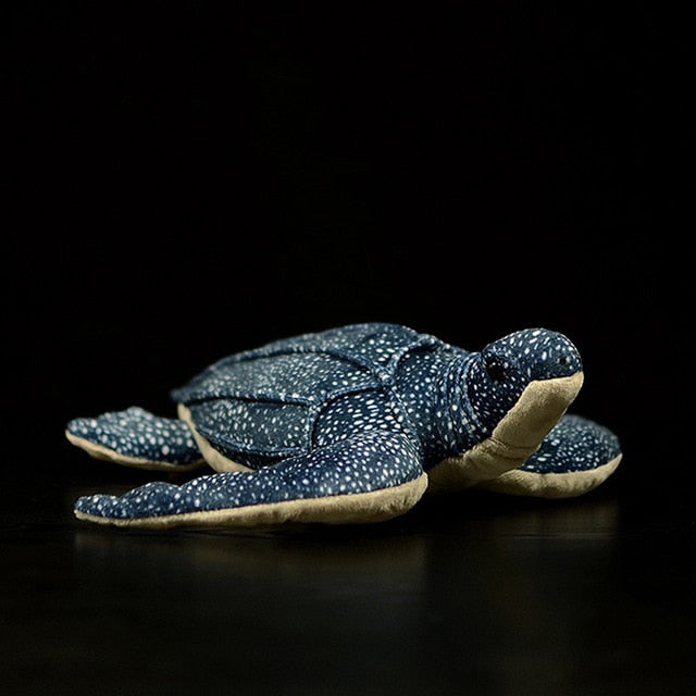 热带海龟毛绒毛绒玩具