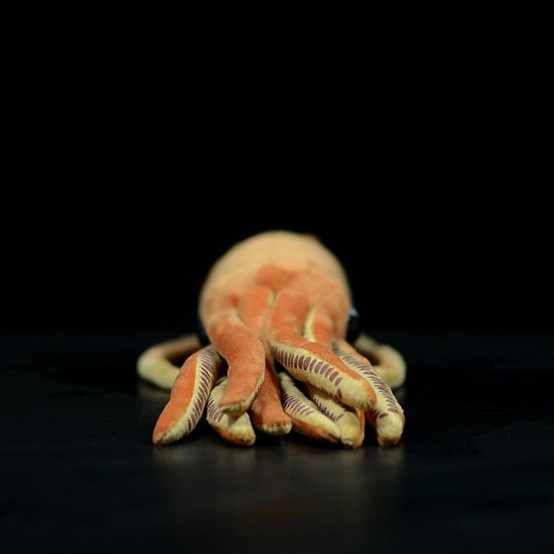 Jucărie de pluș moale umplută cu calamar uriaș Architeuthis