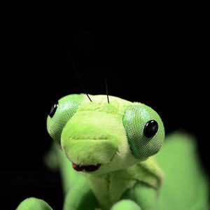 Green Chinese Mantis Soft Stuffed Plush Toy