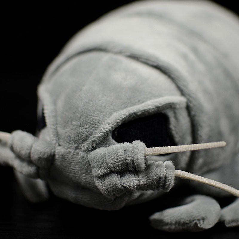 Giant Isopod Soft Stuffed Plush Toy – Gage Beasley