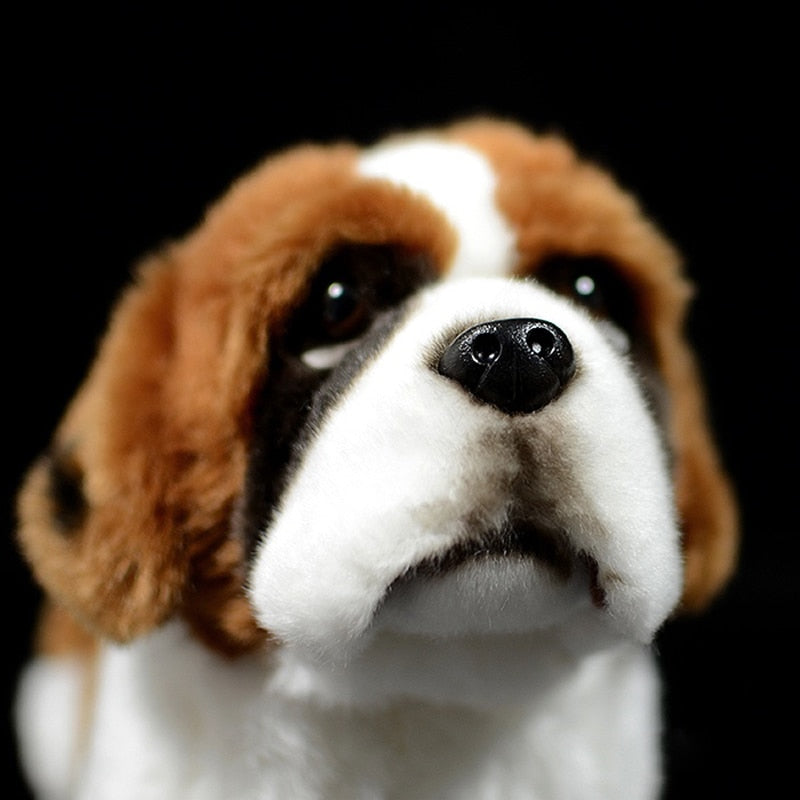importere Halvtreds Wow Saint Bernard Puppy Dog Soft Stuffed Plush Toy – Gage Beasley