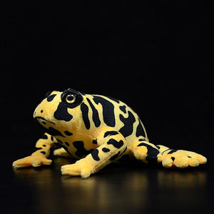 Poison Dart Frog Soft Stuff Plush Toy – Gage Beasley