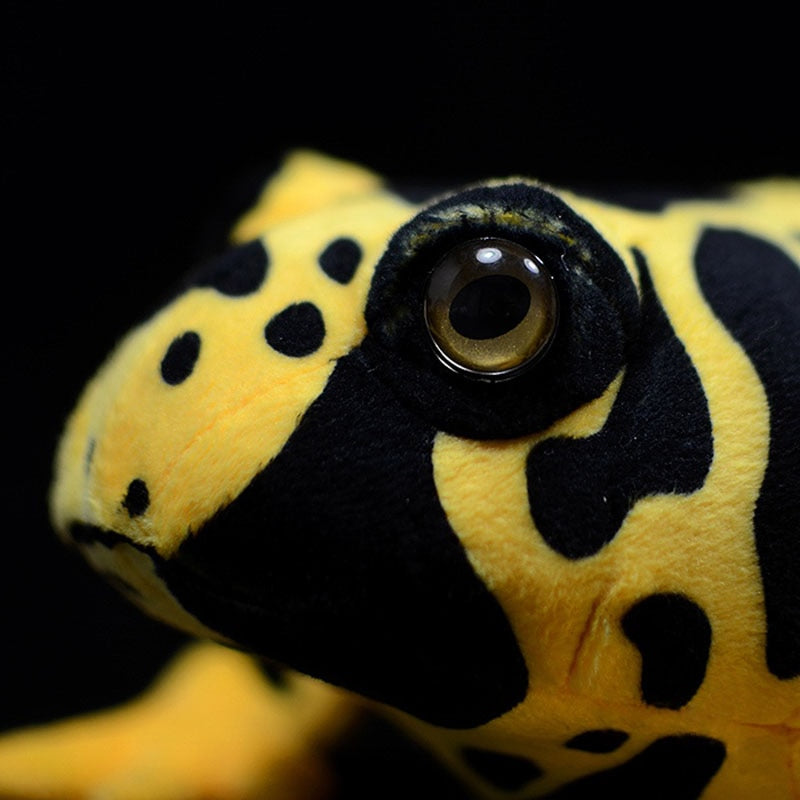 Poison Dart Frog Soft Stuff Plush Toy – Gage Beasley