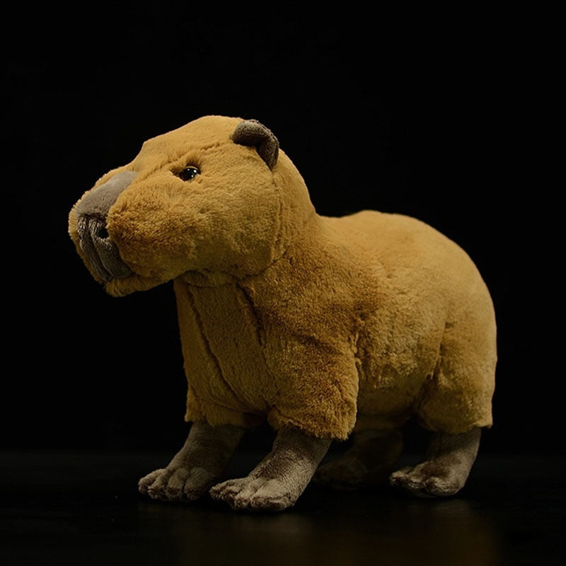 30cm realista Capybara Pelúcia Brinquedo Presente de Desenho
