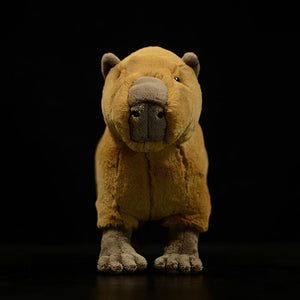 Lifelike Capybara Soft Stuffed Plush Toy – Gage Beasley