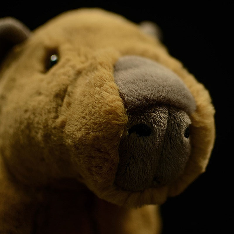 Jucărie de pluș moale Capybara, reală