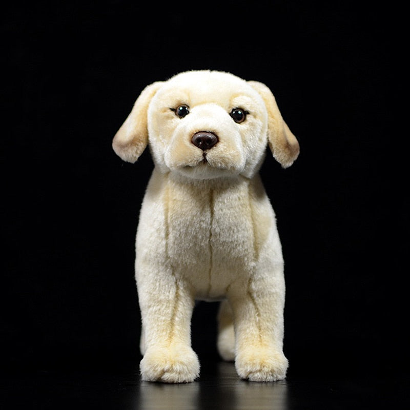 金色拉布拉多幼犬软毛绒玩具