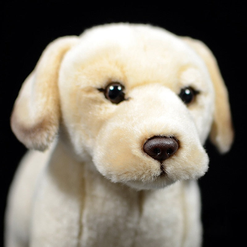 Golden Labrador cucciolo di cane morbido peluche ripiene