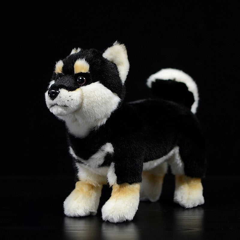 Svart japansk Shiba Inu valp hundstoppade leksak