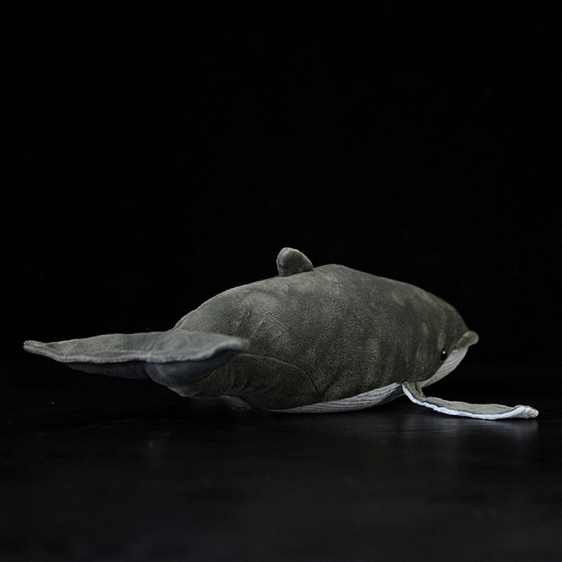 צעצוע קטיפה ממולא רך לווייתן גיבן אפור