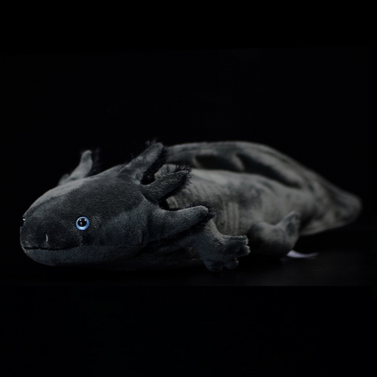Černá měkká plyšová hračka Axolotl